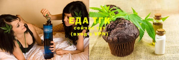 прущие крисы Горняк