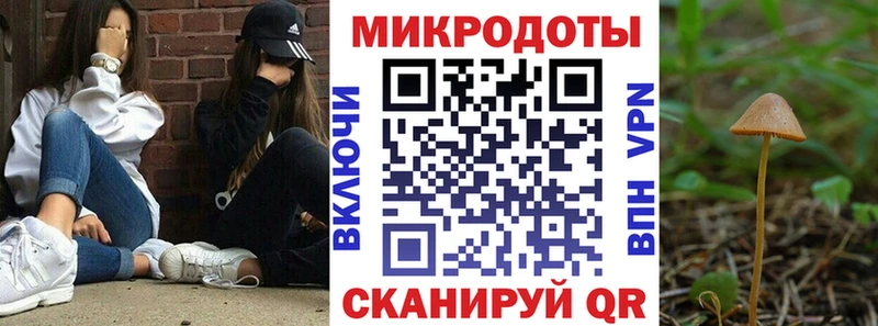 Галлюциногенные грибы прущие грибы  Волгодонск 